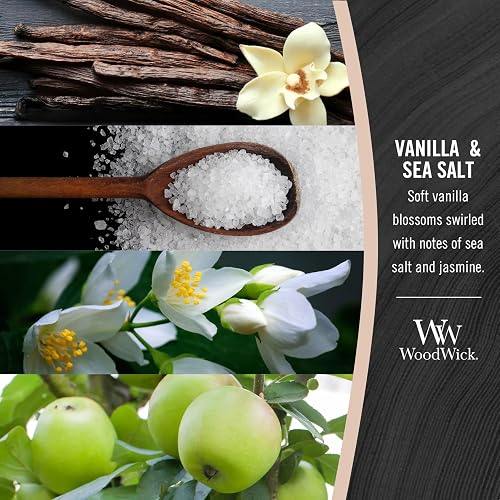Woodwick - Vela perfumada de reloj de arena mediano con Pluswick Innovation, vainilla y sal marina