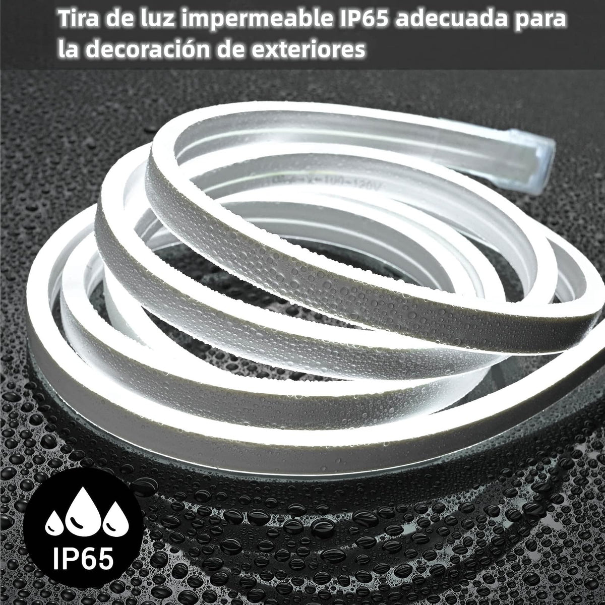 DOSYU Tira Neón Flex LED, 12V 16.4ft/5m Impermeable Flexible Cortable DIY 2835 Luces Led IP65 Decorativa para TV, Cuarto,Halloween, Fiesta de Navidad, con Adaptador(Blanco frio)
