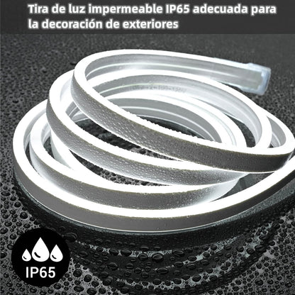 DOSYU Tira Neón Flex LED, 12V 16.4ft/5m Impermeable Flexible Cortable DIY 2835 Luces Led IP65 Decorativa para TV, Cuarto,Halloween, Fiesta de Navidad, con Adaptador(Blanco frio)