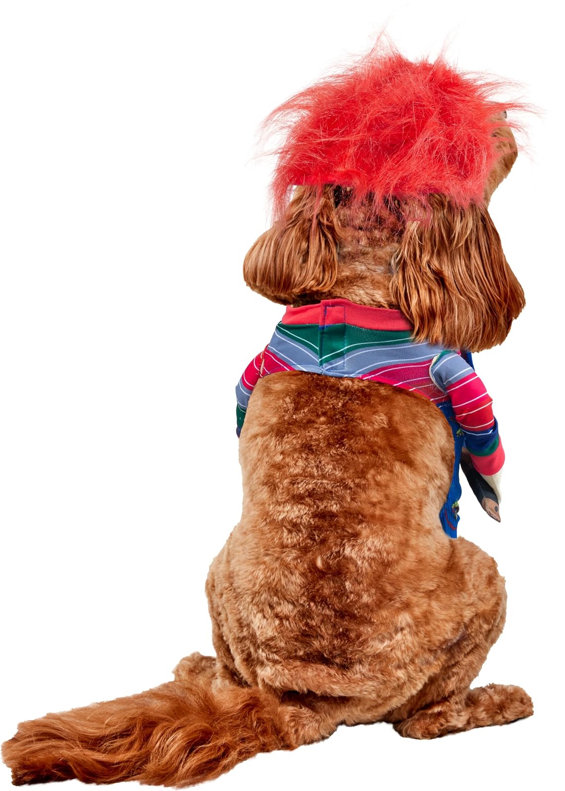 Rubies Chucky - Disfraz para Mascotas, tamaño pequeño