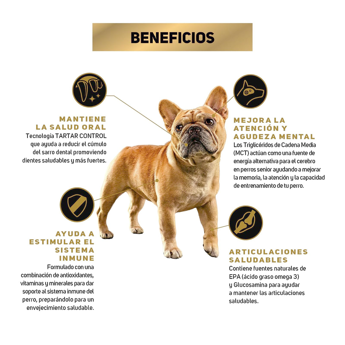 Purina Pro Plan Active Mind Adulto Razas Minis y Pequeñas Sabor Pollo 9.5 Kg