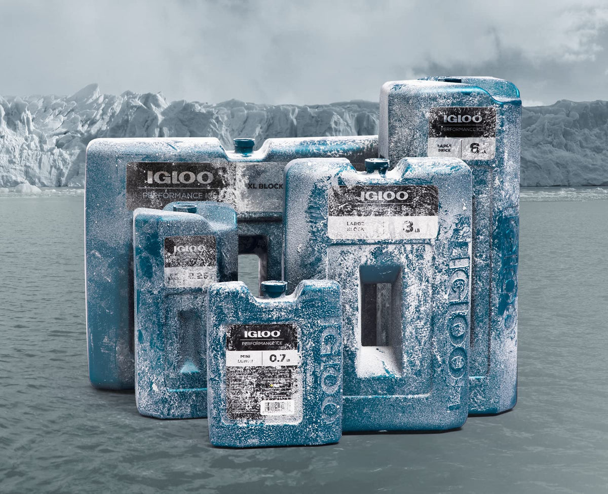 Igloo Performance Bloques de Hielo, Reutilizables para enfriadores, Paquetes de congelador frío de Larga duración, Paquetes fríos para enfriadores, Camping, Pesca, Viajes por Carretera