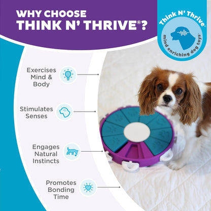 Outward Hound - Rompecabezas interactivo verde Nina Ottosson Dog Worker Juguete para perro