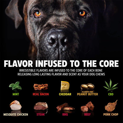 Pet Qwerks BBQ BarkBone Dog Chew Toys for Aggressive Chewers, Made in USA