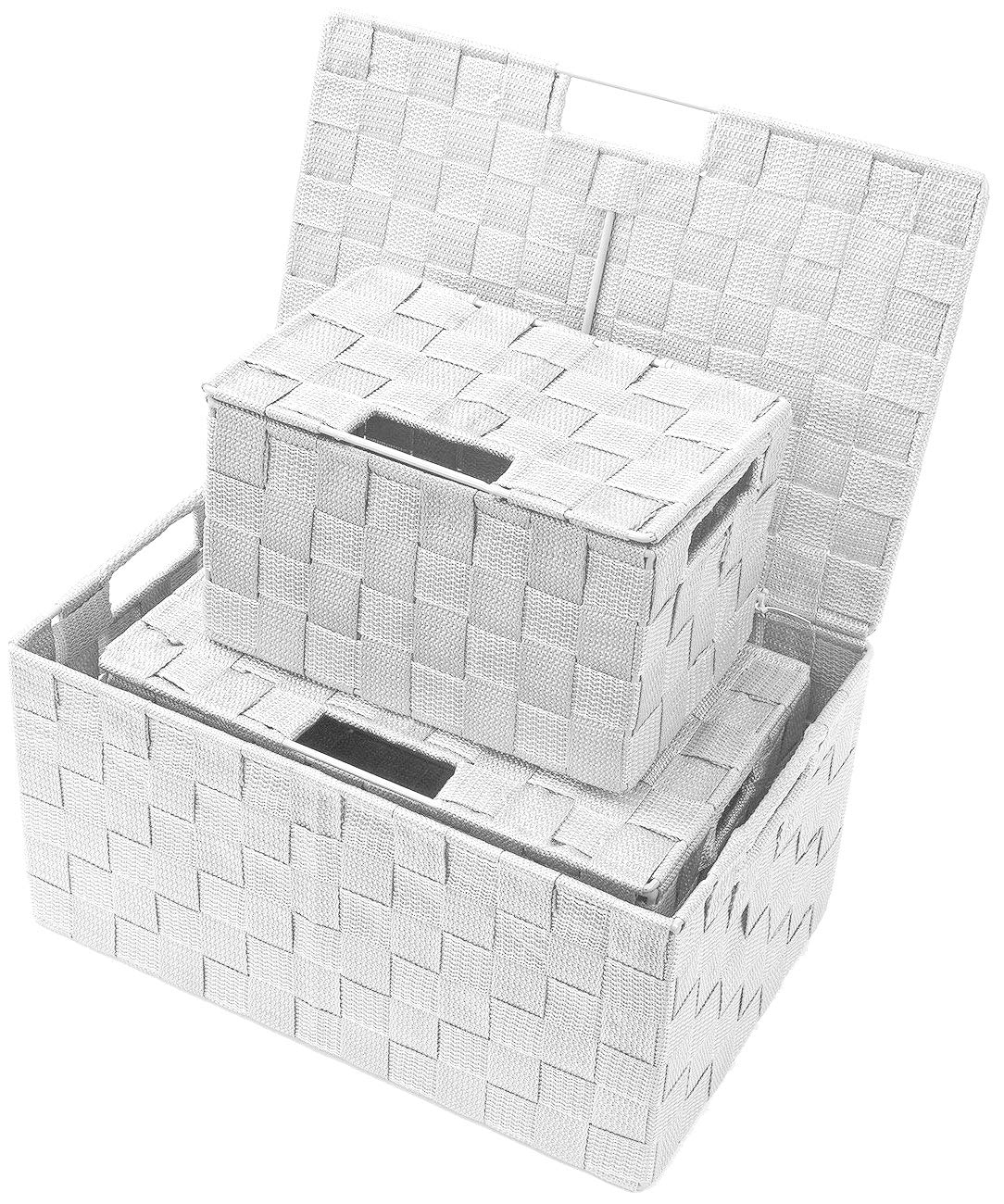 Sorbus - Juego de cesta de almacenamiento plegable con asas de transporte integradas, ideal para la organización del hogar, guardería, sala de juegos, armario, dormitorio, etc., Lid Bins - 3 Pack