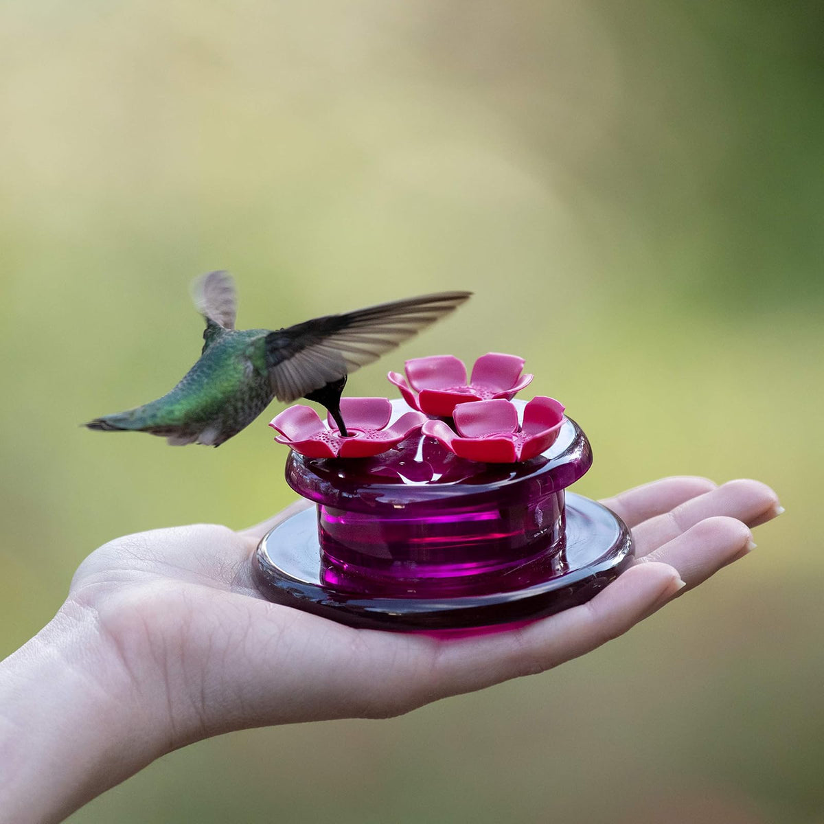 Perky-Pet 9100 - Alimentador de colibrí de Mano y Mesa, Paquete de 4