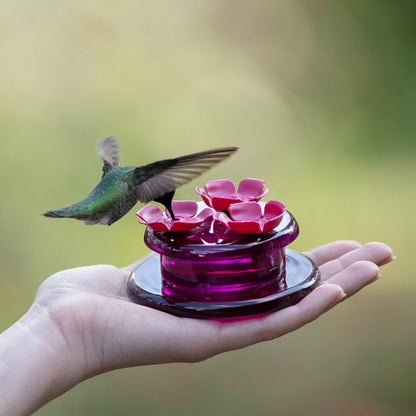 Perky-Pet 9100 - Alimentador de colibrí de Mano y Mesa, Paquete de 4