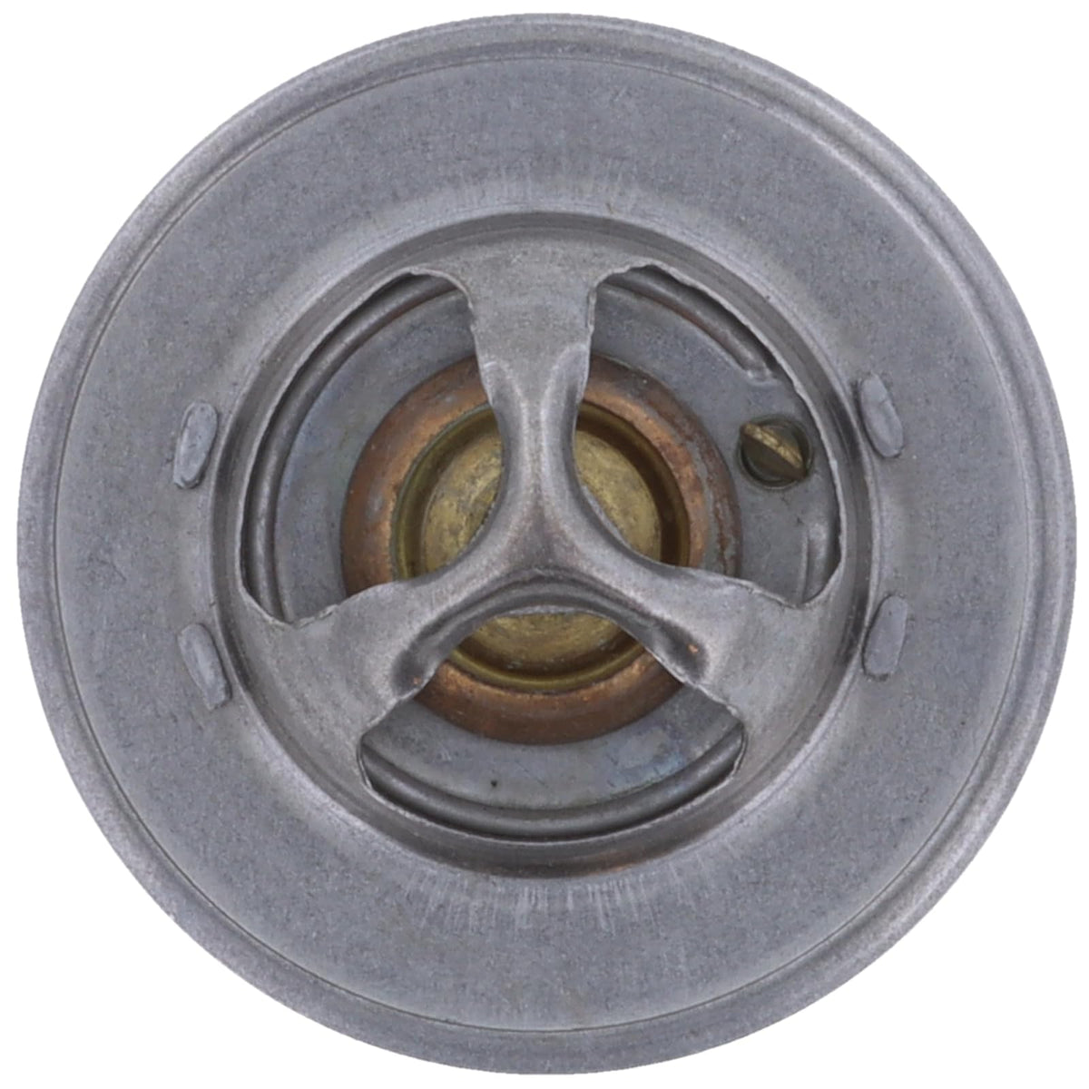 MotoRad Termostato 2000-195, Plata