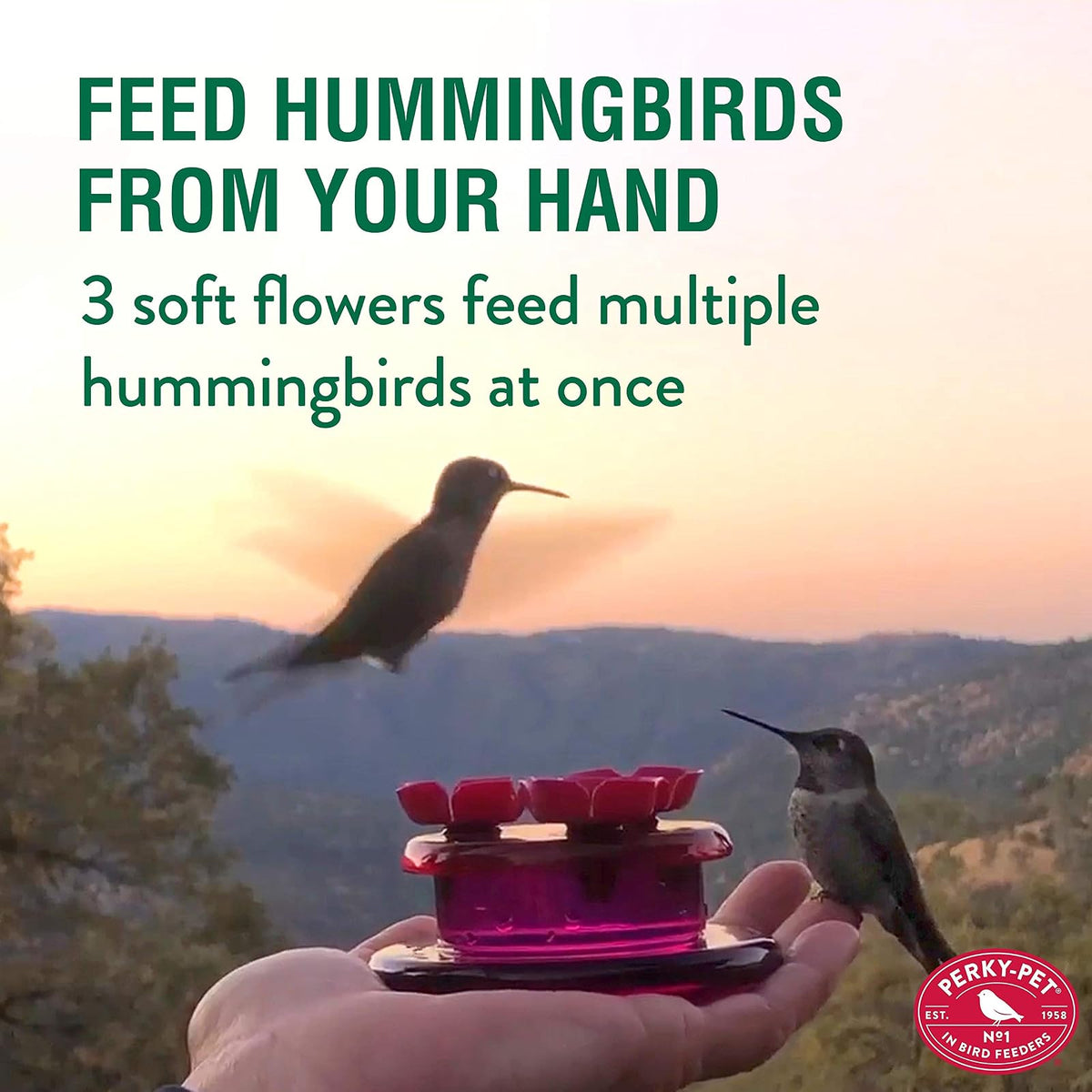 Perky-Pet 9100 - Alimentador de colibrí de Mano y Mesa, Paquete de 4