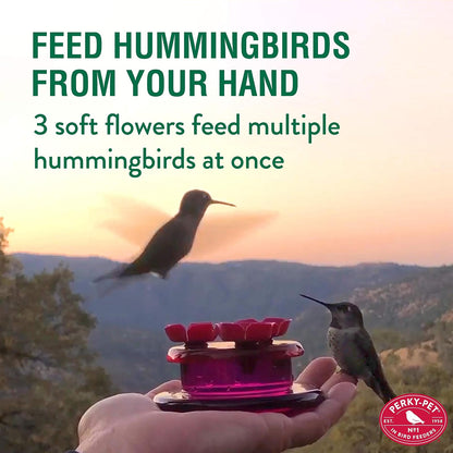 Perky-Pet 9100 - Alimentador de colibrí de Mano y Mesa, Paquete de 4