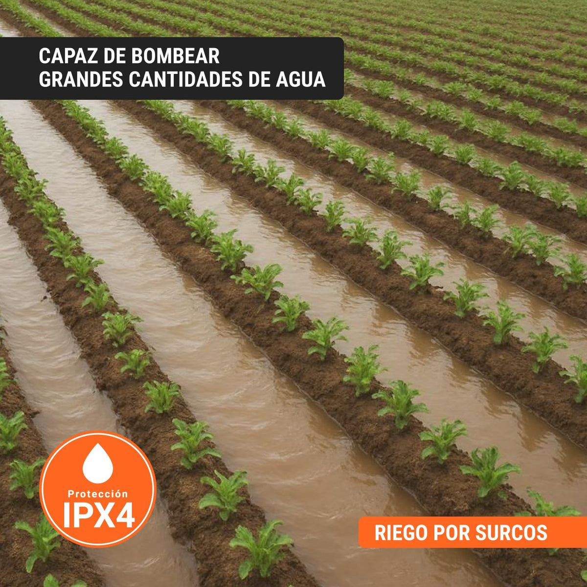 Truper BOAC-1A, Bomba centrífuga para agua de 1 HP
