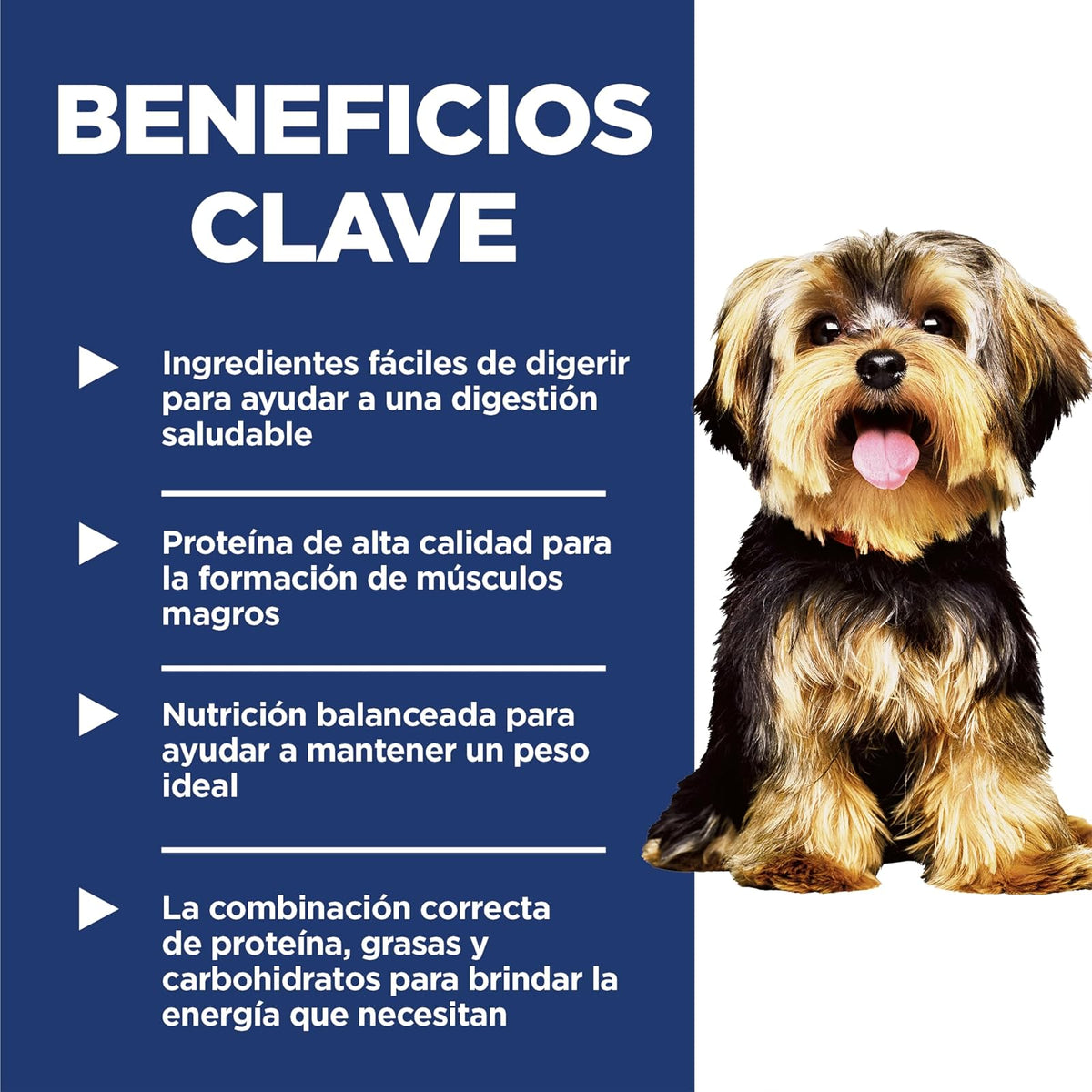 Hill's Science Diet Small Mini Alimento Húmedo para Perro Adulto 12Pack 99G | Alimento húmedo Hill's para perro, pollo real, razas pequeñas, digestión saludable, sistema inmunológico fuerte