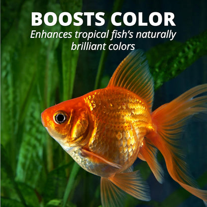 Tetra Tetramin Hojuelas para Goldfish 62g, Alimento Completo con ProCare, Mejora Coloración Natural, Fácil Digestión
