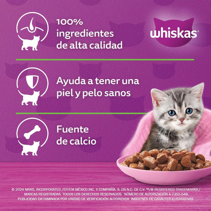 Whiskas Alimento Húmedo para Gatitos, Sabor Res, 85g c/u. Paquete de 24 Unidades