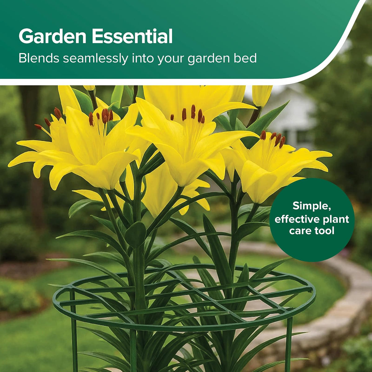Gardman R754 Grow Through Hoops con 3 Patas, 16 Pulgadas de Ancho x 62 Pulgadas de Alto.