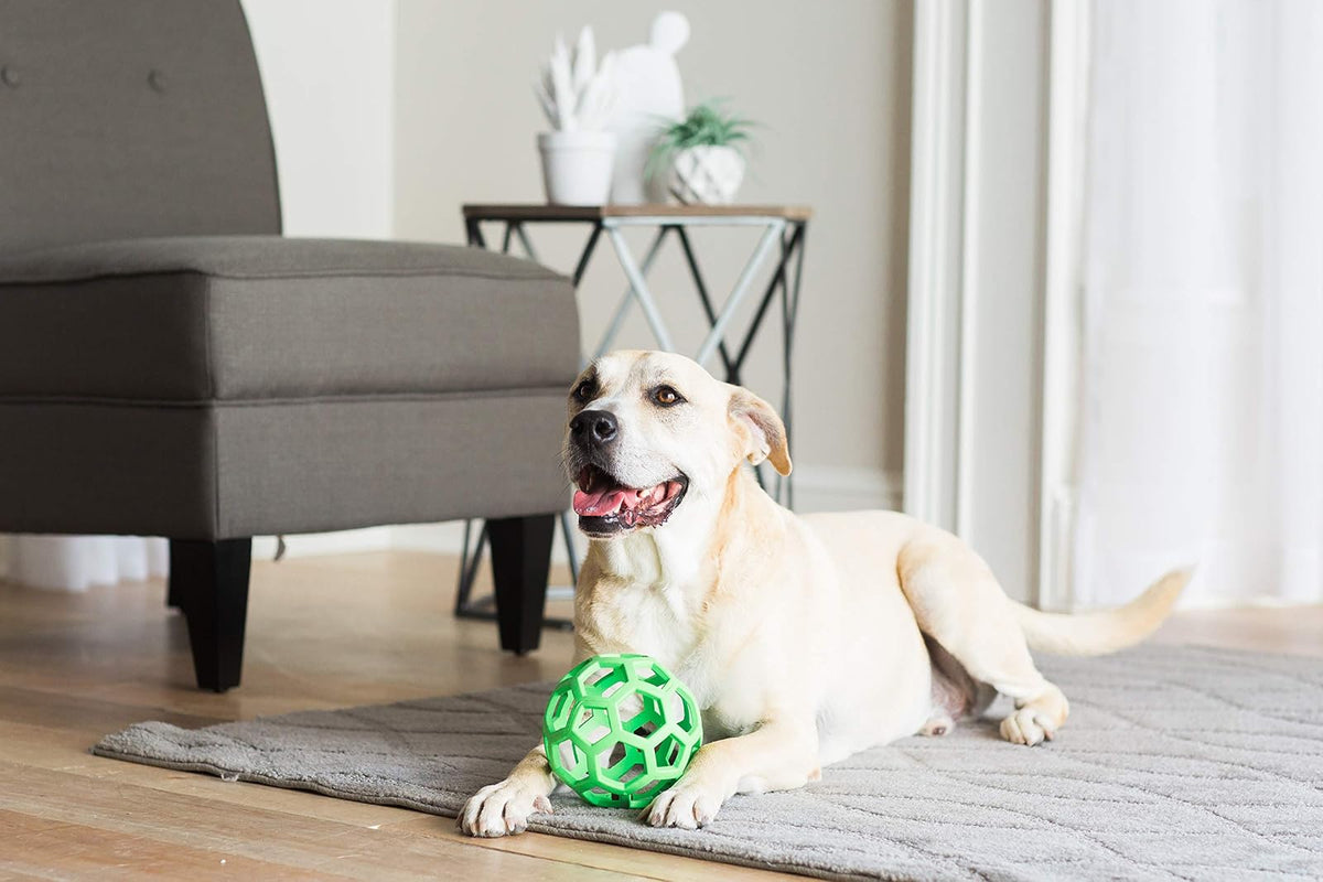 JW HOL-EE Roller Dog Toy