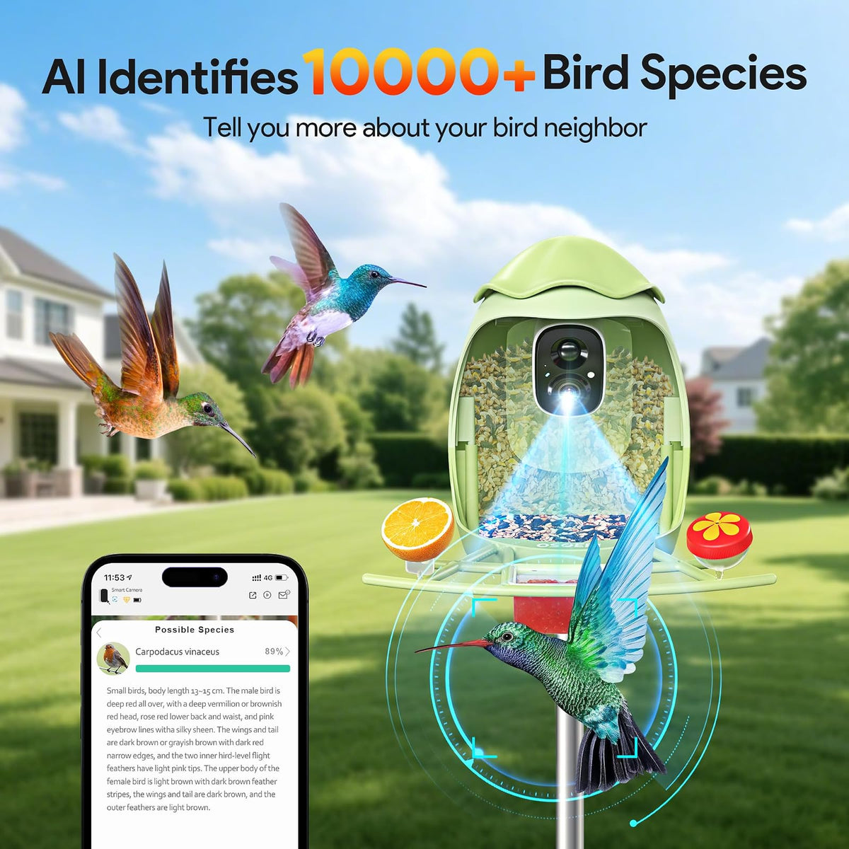 Osoeri - Alimentador inteligente para pájaros con cámara, cámara de alimentación solar HD con identificación de AI, captura automática de videos de pájaros y detección de movimiento, cámara de casa de