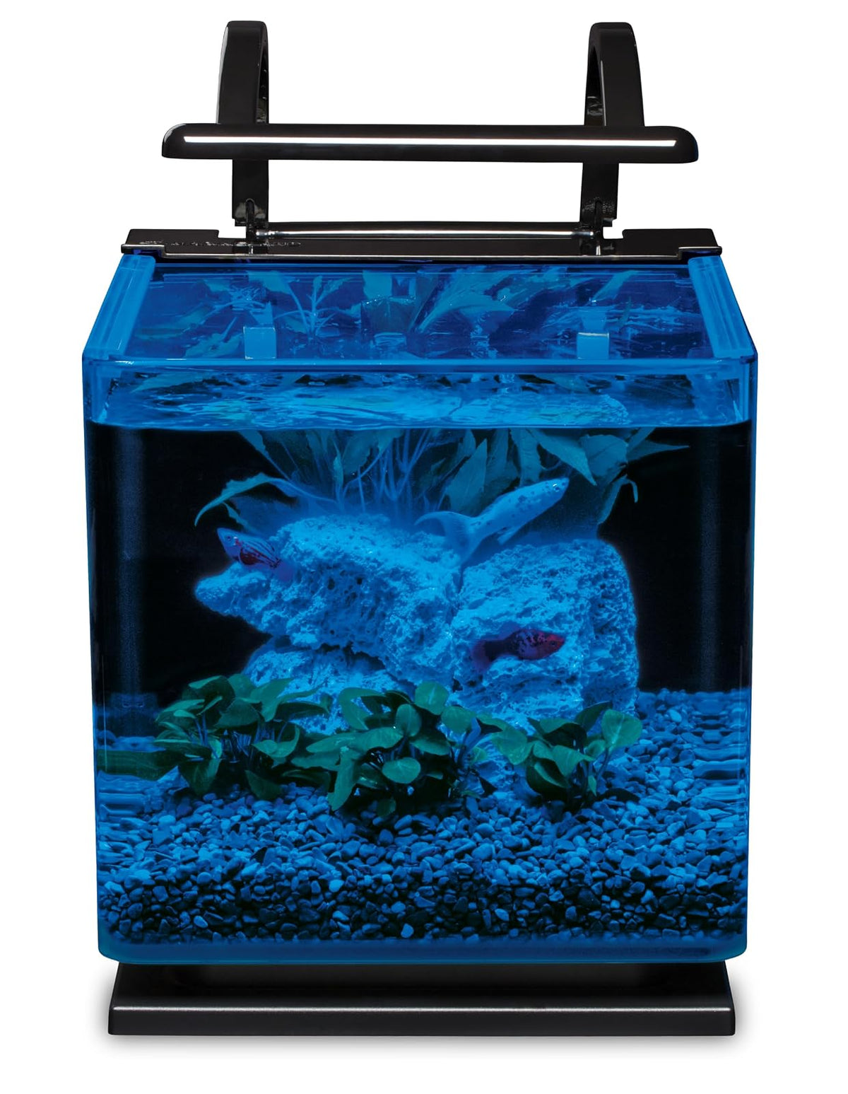 MarineLand Kit de Acuario con luz, Almohadilla de espuma, 11 litros