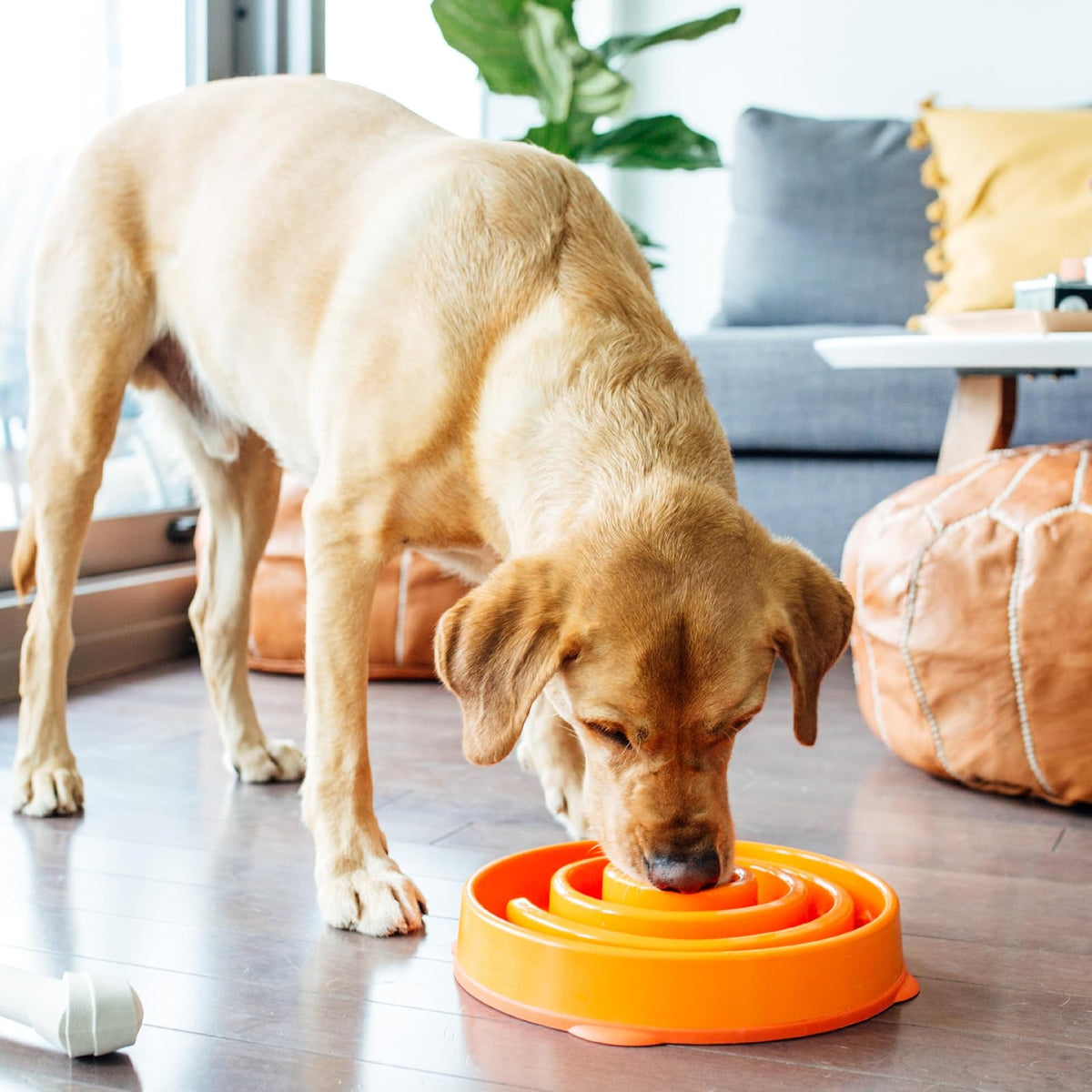 Outward Hound Divertido comedero para Perros con alimentación Lenta para Detener la Sangre para Perros, Anaranjado, Large