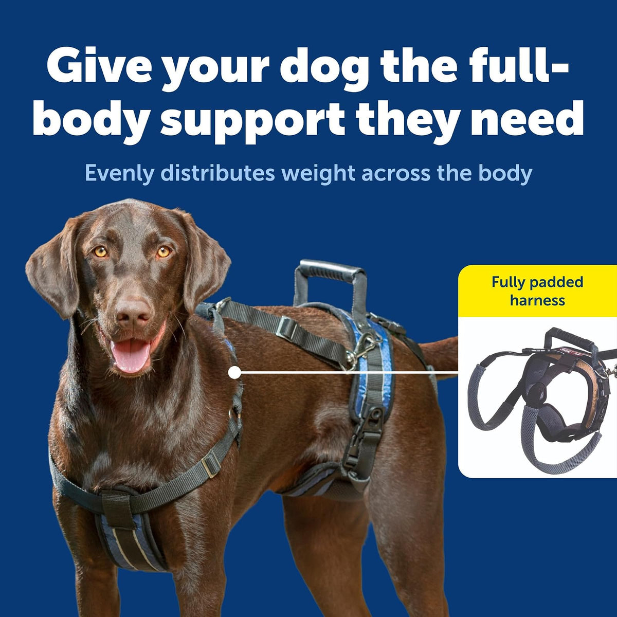 PetSafe CareLift Support Harness - Full Body Dog Lift Harness with Handle & Shoulder Sling - Great for Elderly Dogs, Hip Dysplasia, ACL Surgery - Designed to Help Them Up - Adjustable - Large