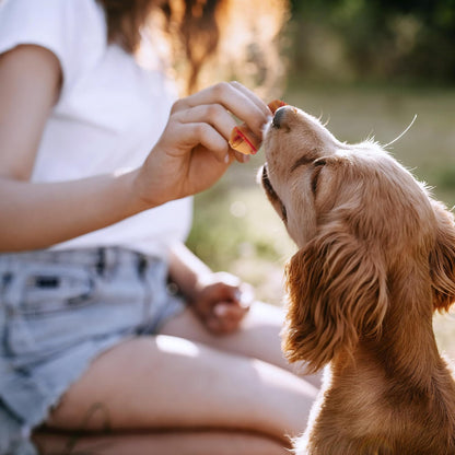 SmartBones Premios Perro huesitos Pollo y maní sin Artificiales Pack-16 pzs