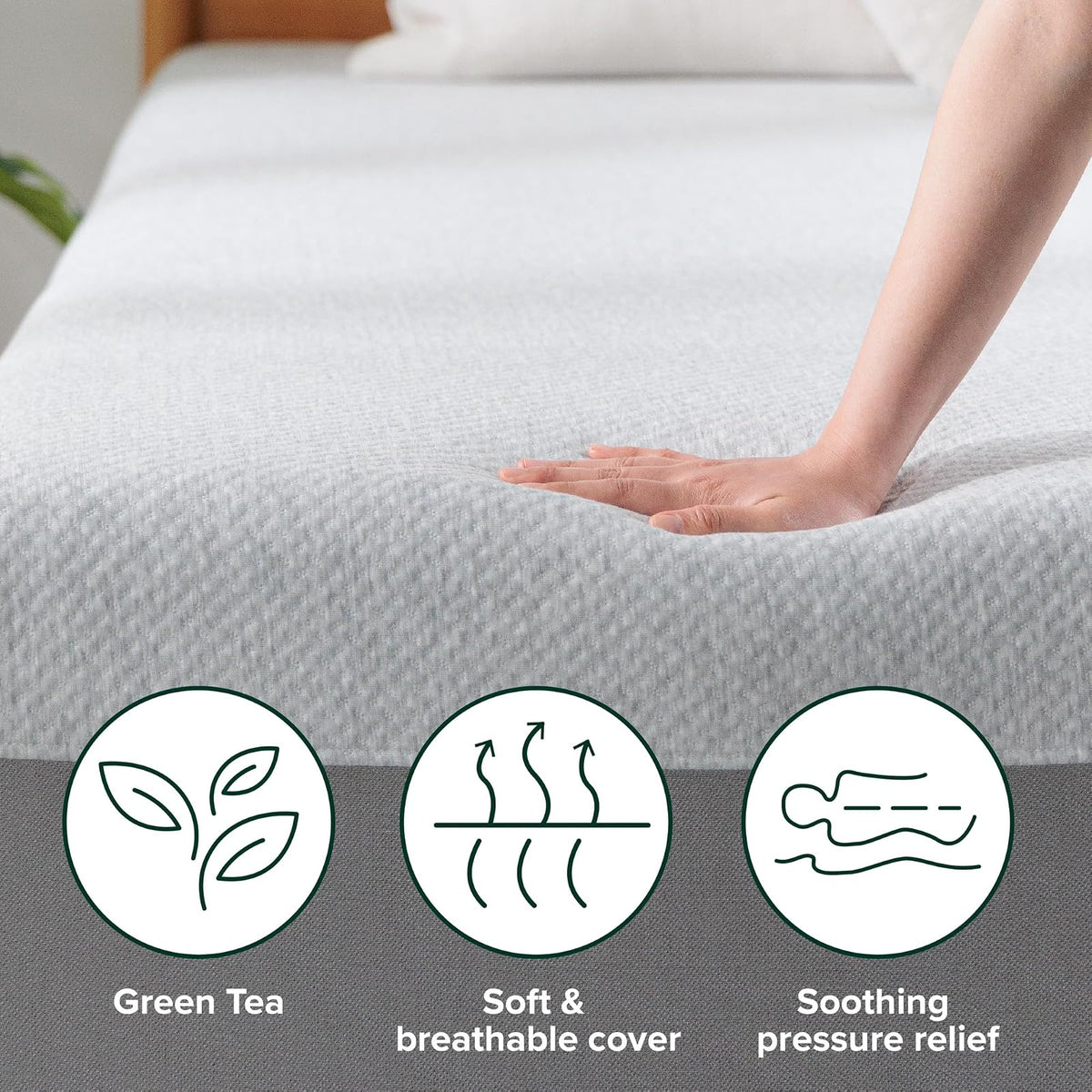 ZINUS - Colchón de Espuma viscoelástica Esencial de té Verde de 8 Pulgadas, Cama en una Caja, colchón asequible, Certificado CertiPUR-US,
