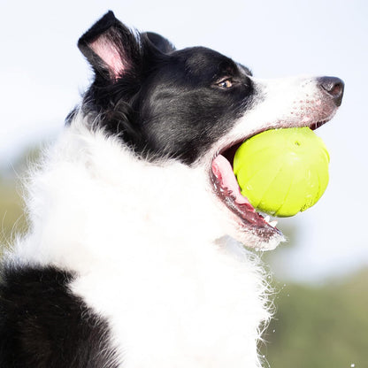Nerf - Pelota de Goma para Perro con chirriador, Ligero, Duradero y Resistente al Agua, 4 Pulgadas de diámetro para Razas Medianas/Grandes, una Sola Unidad, Verde
