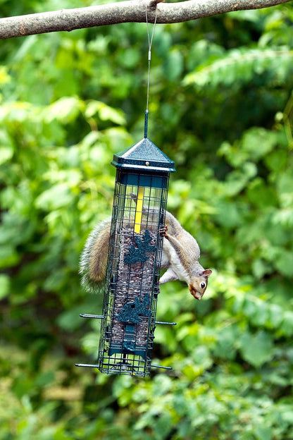 Squirrel Solution200 Comedero para pájaros silvestres de 5.5 x 5.5 x 30 pulgadas (con colgador) con 6 puertos de alimentación, capacidad de semillas de 3.4 lb, embudo de semillas gratis