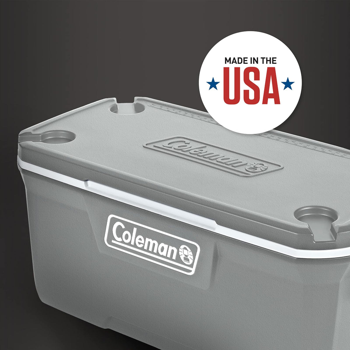 Coleman Enfriador portátil Aislado de la Serie 316 con pestillos Resistentes, Enfriador Duro de Alta Capacidad a Prueba de Fugas, Mantiene el Hielo hasta 5 días