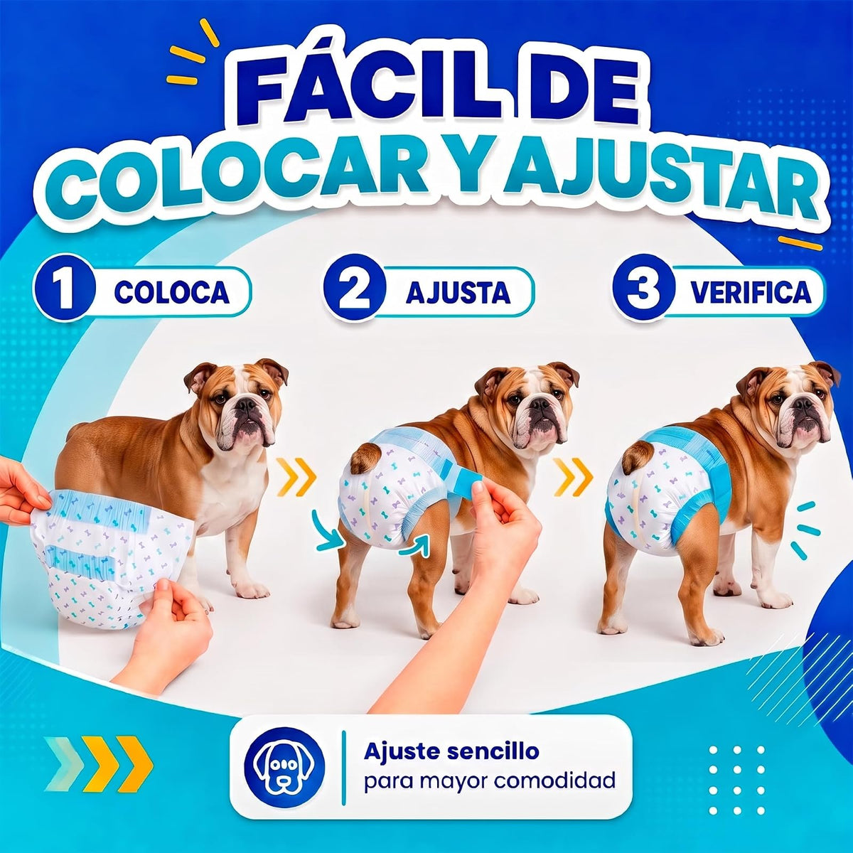 Fancy Pets Pañales Desechables para Perro Med, Súper Absorbentes, 12 Piezas, para Incontinencia, Entrenamiento y Celo, Cómodos y Ajustables