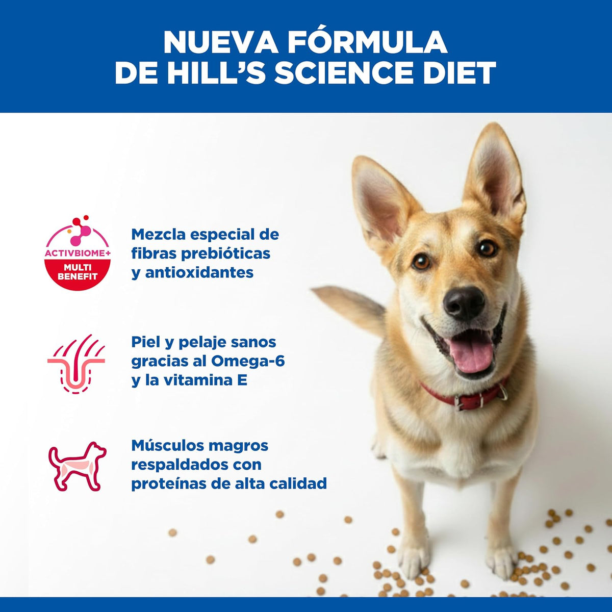 Hill's Science Diet Croquetas para Perro Adulto Sabor Pollo 15Kg | Croquetas Hill's para perro, pollo real, digestión saludable, sistema inmunológico fuerte, omega-6 y vitamina E