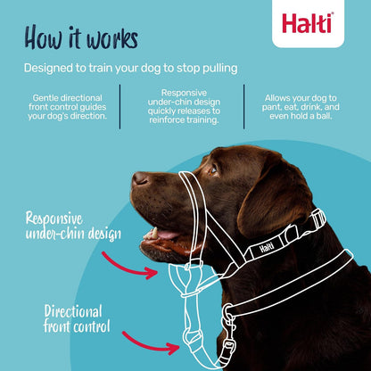 The Company Of Animals DCN11400 Size-1 Halti Head Halter/Collar, Red by Company of Animals