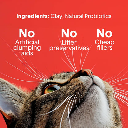 Boxiecat Arena para Gatos de Alta Resistencia, fórmula de Arcilla, multicat sin Aromas, Caja de Arena Ultra Limpia, Control de olores probióticos, Arena Dura de aglomeración, 99,9% Libre de Polvo