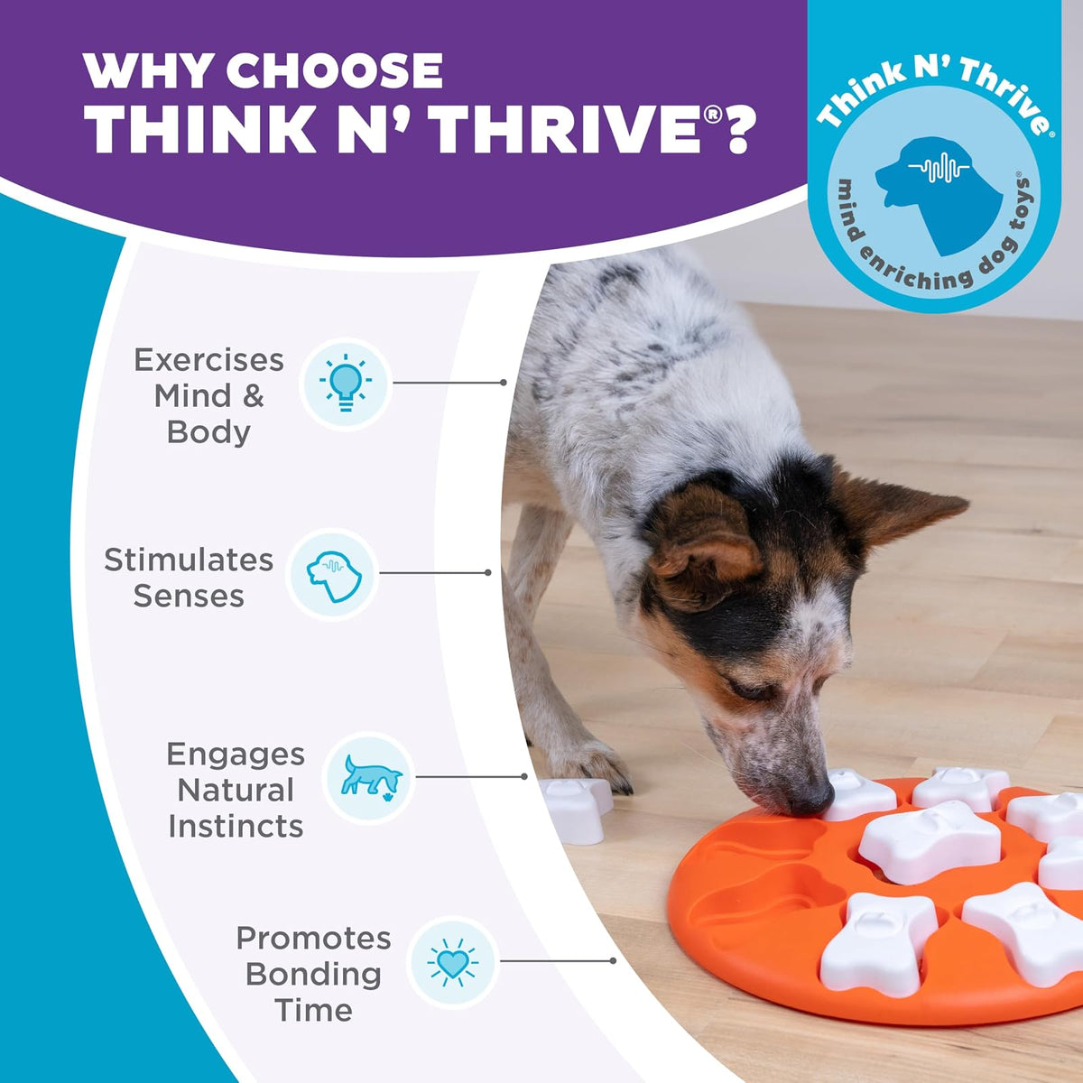 Nina Ottosson by Outward Hound Dog Smart Dog Puzzle Interactive Treat Puzzle Dog Enrichment Dog Toy, Level 1 Beginner, Orange
