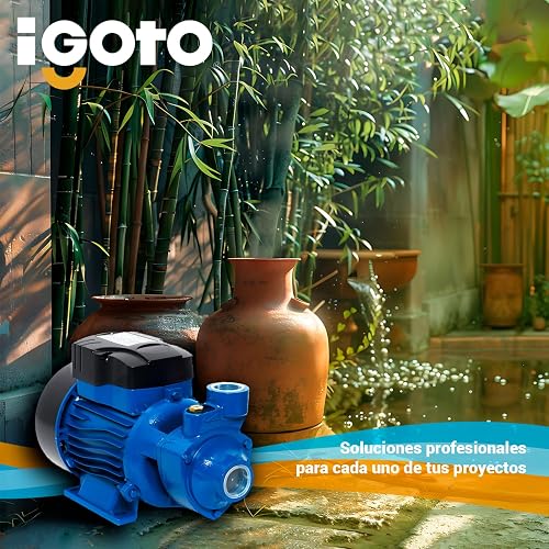 Igoto QB60 Bomba Periférica ½ HP 370W 127V Caudal Máximo 35 l/m Altura Máxima 35m Ingerto de Bronce Embobinado de Cobre Impulsor de Bronce Proteccion IP44 Ideal para Casa Negocio Jardin