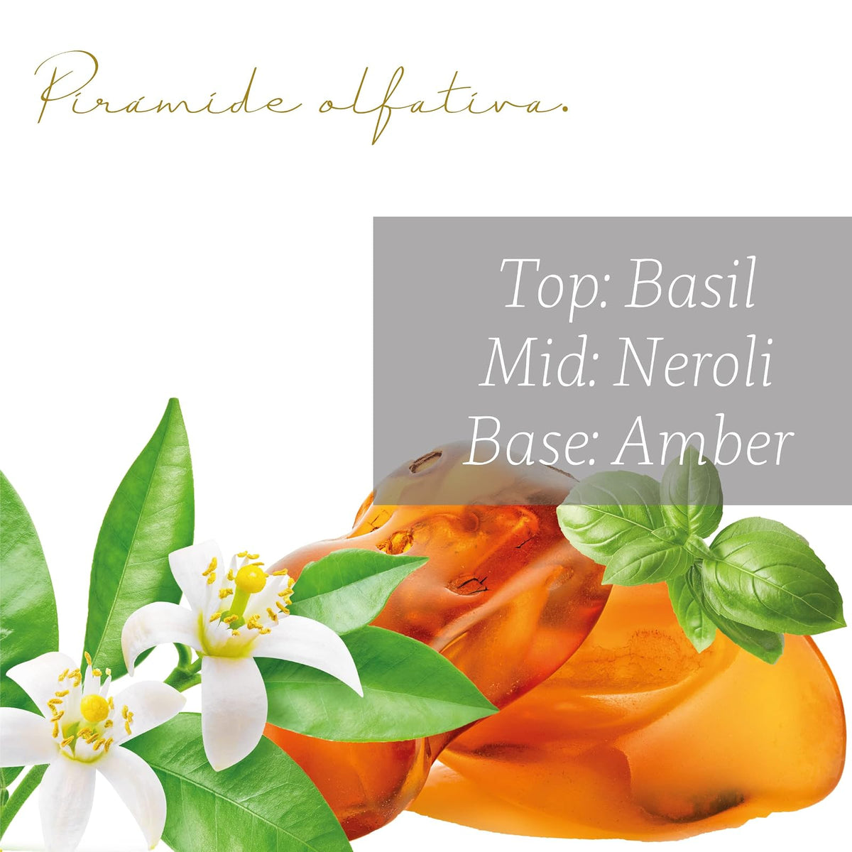 Punto Aroma - Home Mist 250ml - Ambientador de Fragancia Premium - Air Freshener - Spray aromatizante con atomizador - Ideal para casa, automóvil, oficina, carro, baño (French Neroli)