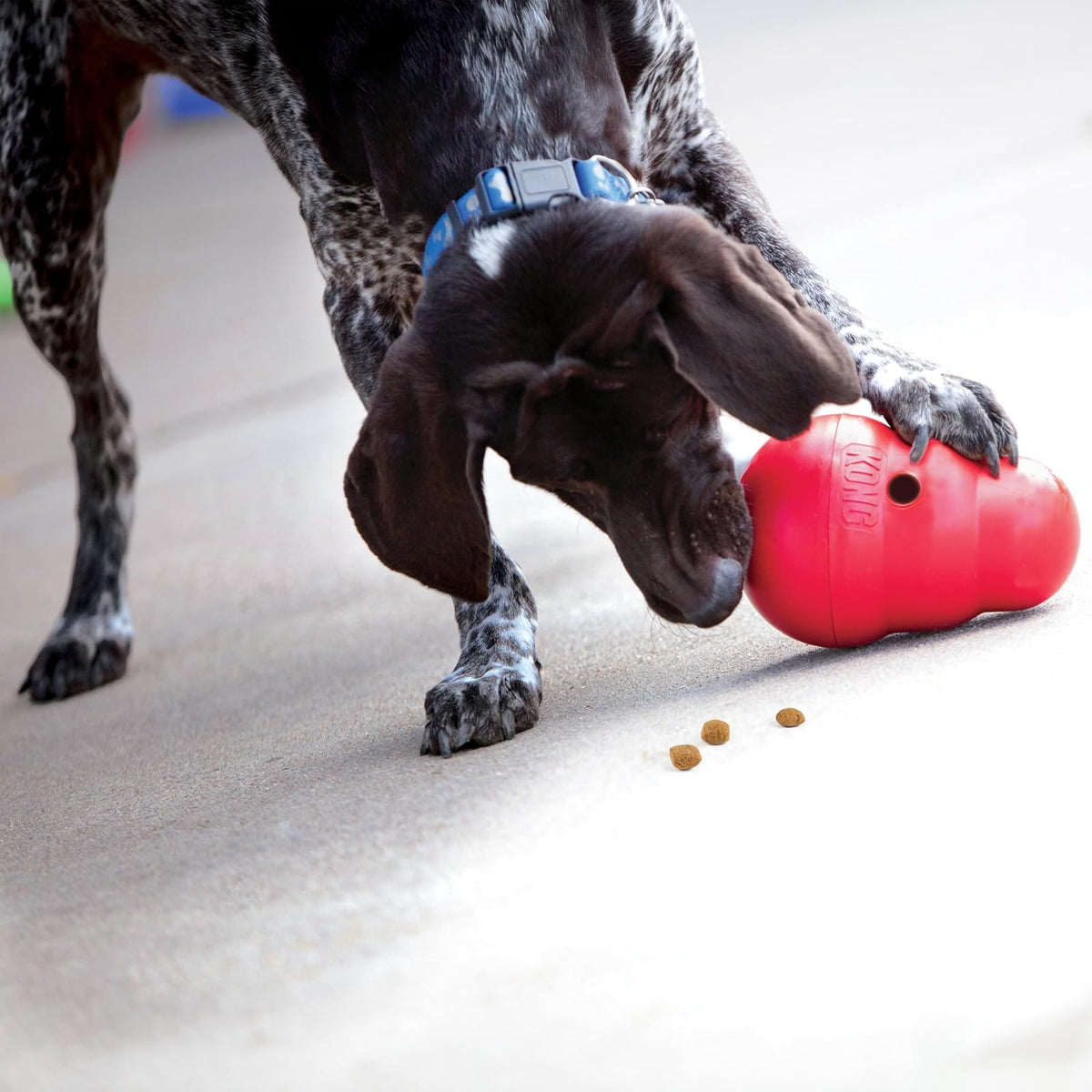 Kong Wobbler Juguete para Perro con Dispensador para , color Rojo, Grande