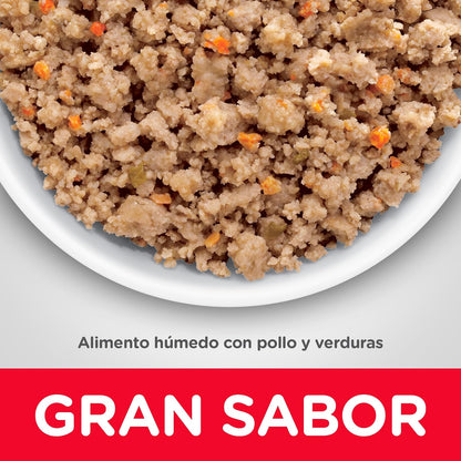 Hill's Alimento Húmedo Perro con Piel Y Estomago Sensible 12 Pack 363G | Alimento húmedo Hill's para perro, piel y estómago sensible, alta digestibilidad, barrera cutánea sana
