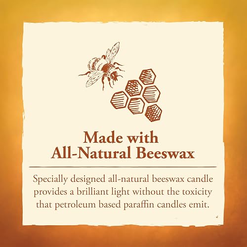 Candle by The Hour 80-Hour Candle with Glass Cylinder, Eco-Friendly Natural Beeswax with Cotton Wick