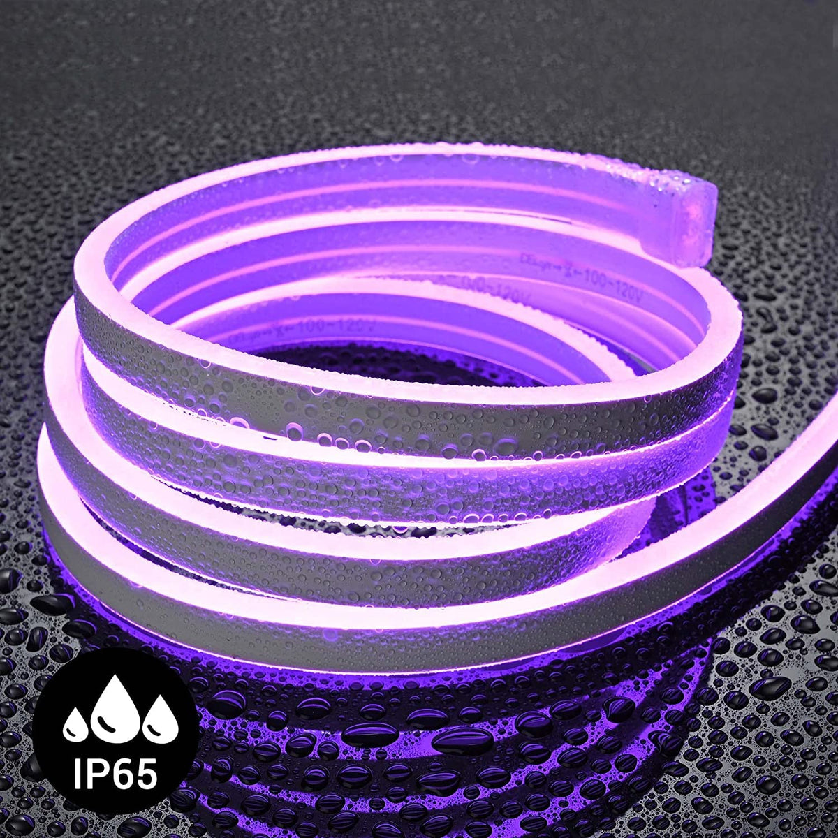 DOSYU Tira Neón Flex LED, 12V 16.4ft/5m Impermeable Flexible Cortable DIY 2835 Luces Led IP65 Decorativa para TV, Cuarto, Halloween, Fiesta de Navidad, con Adaptador(Violeta)