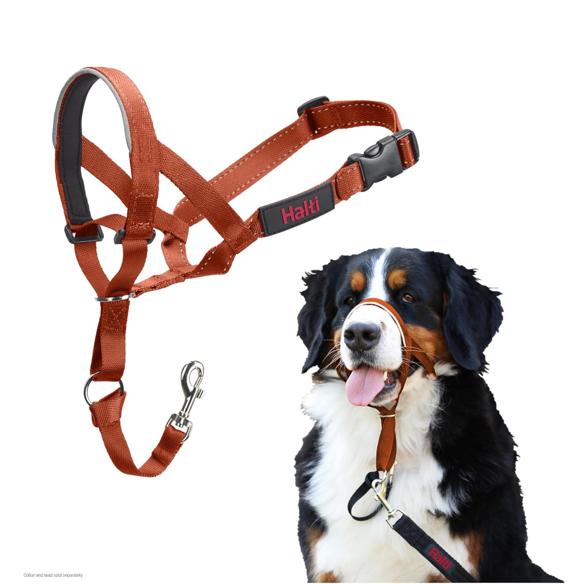 Halti Cabezal de Entrenamiento para Perros - 4 - Burnt orange