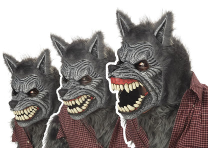 Full Moon Werewolf Costume