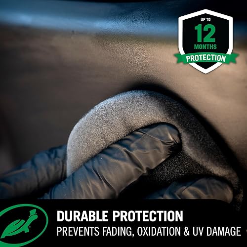 Turtle Wax 53838 Hybrid Solutions Restaurador de Molduras Acrílicas de Grafeno, 296 ml