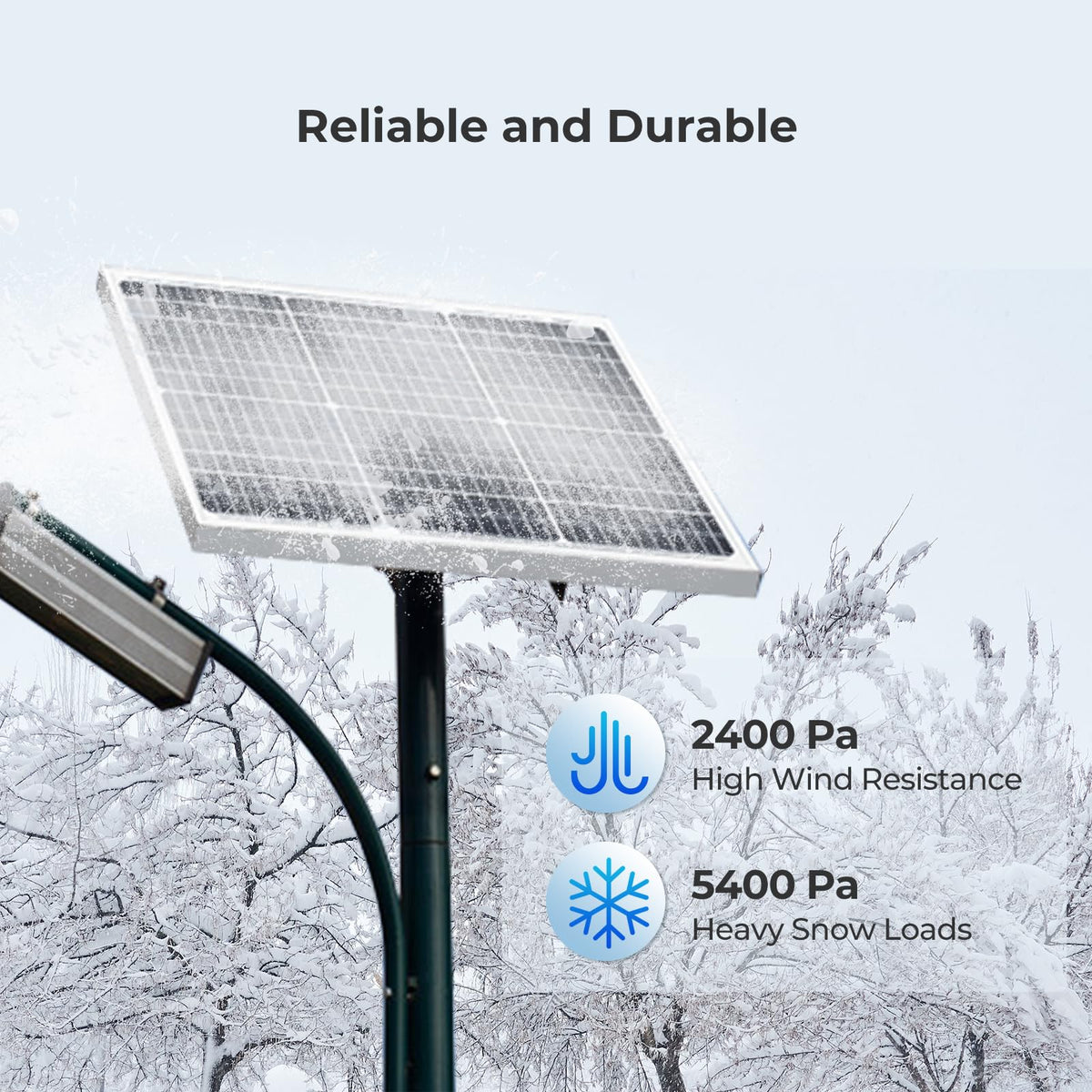 Renogy Panel solar monocristalino de 50 W y 12 V (diseño compacto) | Panel solar de 50 W para sistemas de batería de 12 V, ideal para RV Marine Rooftop Farm Trailer Cabin Home Off-Grid Systems