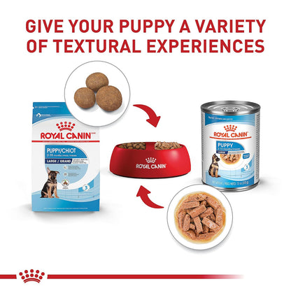 ROYAL CANIN - Croquetas para Cachorro Grande, Large Puppy 7.72 Kg