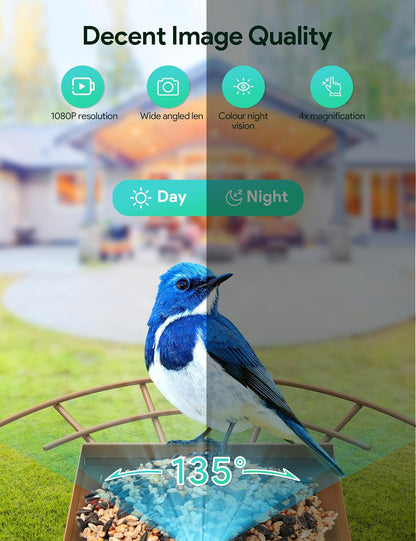 Osoeri Comedero para Pájaros con Cámara, Exterior, Solar, IA Identifica Aves, Captura Vídeos Automática, Alerta Inmediata, Regalo Ideal (Familia y Amantes)