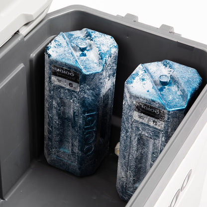 Bloques de Hielo Igloo, Bolsas de Hielo Reutilizables para enfriadores, Paquetes de congelador frío de Larga duración, Paquetes fríos para enfriadores, Bolsas de Almuerzo, loncheras, Camping, Pesca,