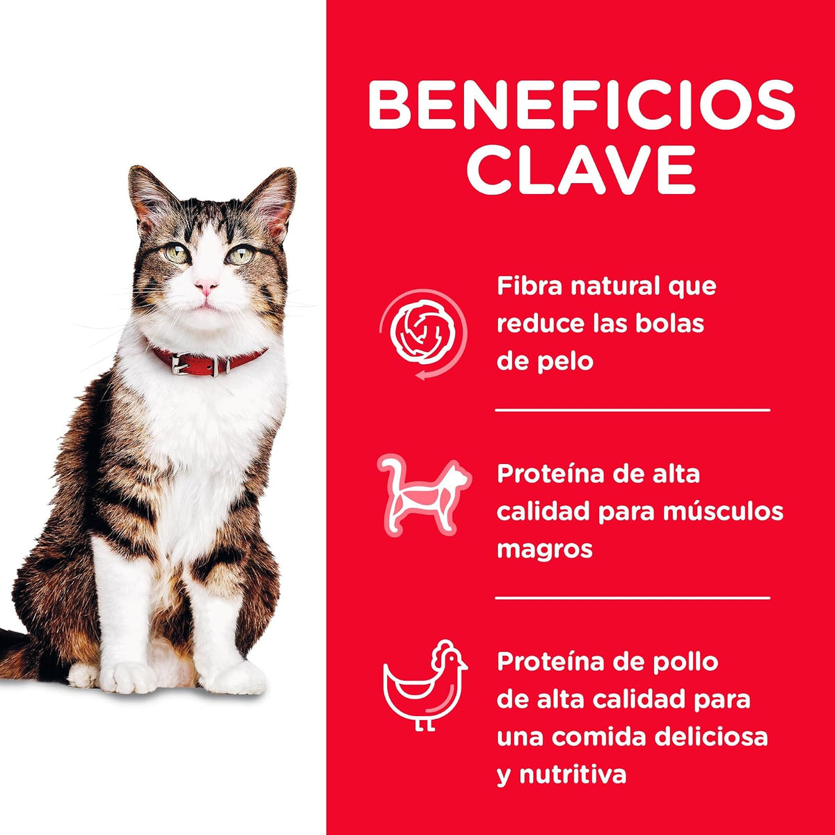 Hill's Science Diet Hairball Croquetas para Gato Adulto Sabor Pollo 1.6Kg | Croquetas Hill's para gato, pollo real, control de bolas de pelo, piel y pelaje sanos, fibra natural