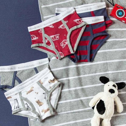 Burt's Bees Baby Toddler Boys' Underwear, Organic Cotton, Tag-Free Comfort Briefs Ropa Interior Niños