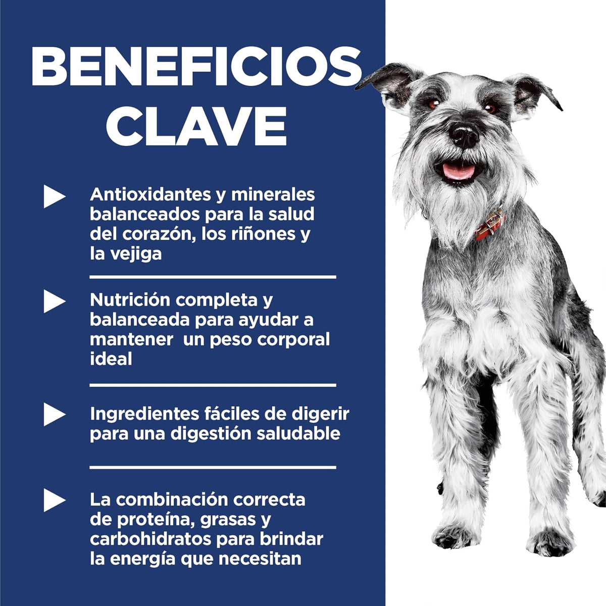 Hill's Science Diet Alimento Húmedo para Perro Senior Pollo 12 Pack 99G | Alimento húmedo Hill's para perro, pollo real, razas pequeñas, soporte envejecimiento, salud de corazón y riñones